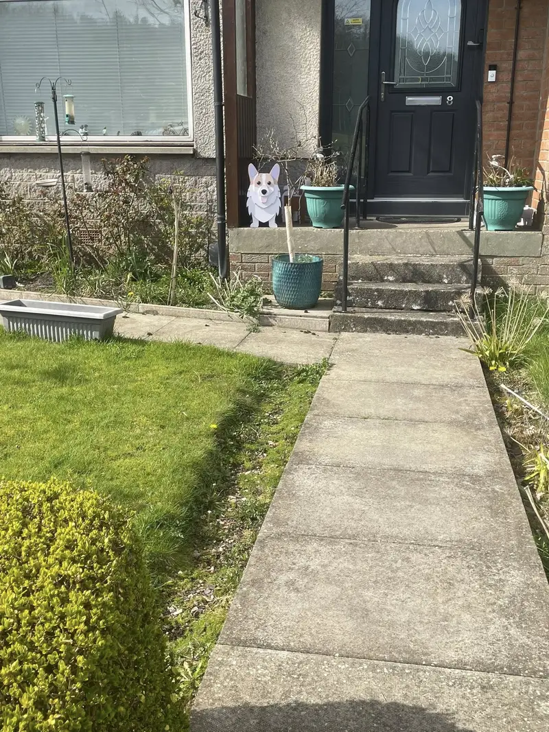 Concrete Front Path — before cleaning
